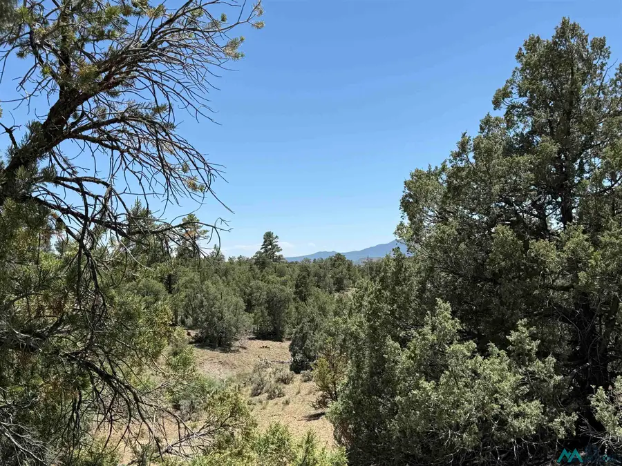 0 Christy Lane Lane, Chama, NM 87520 - Image #2