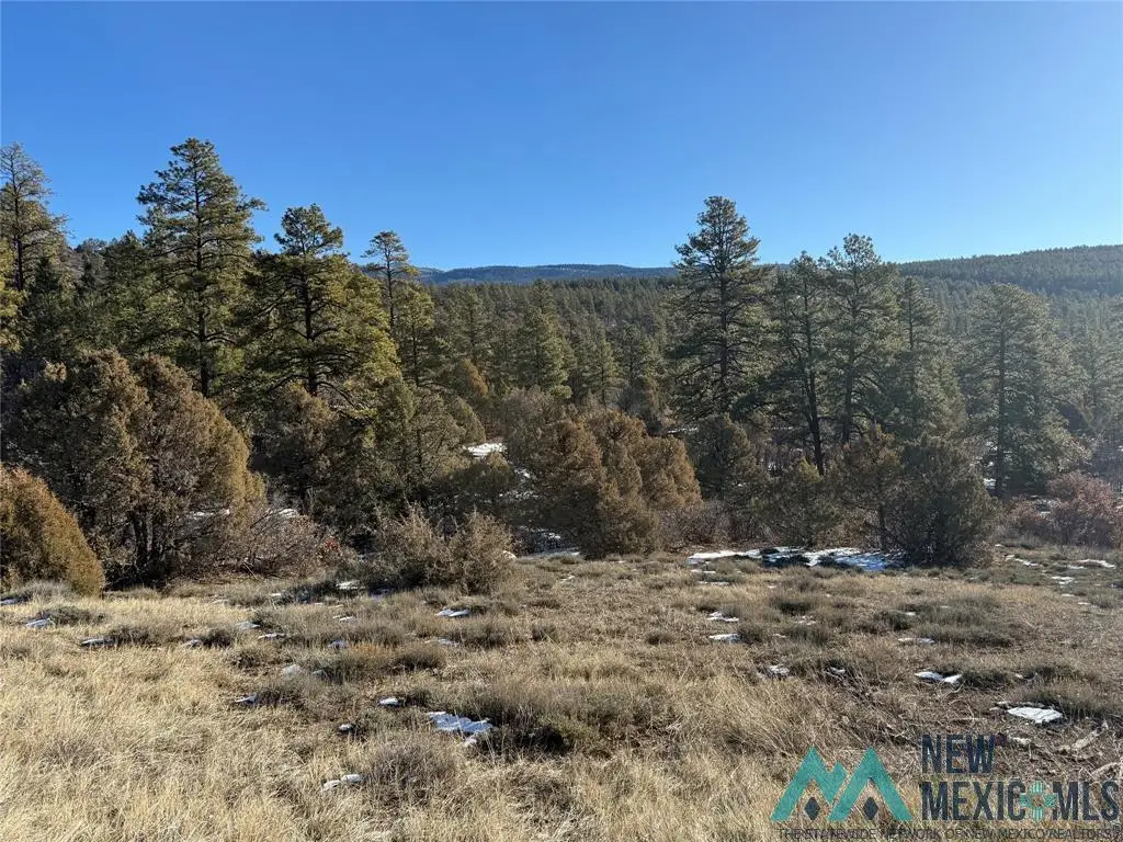 0 Unit 1 Tr-9b Ponderosa Drive, Chama, NM 87520 - Image #1
