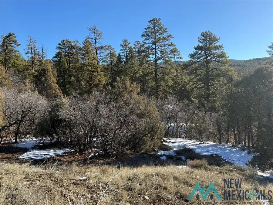 0 Unit 1 Tr-9b Ponderosa Drive, Chama, NM 87520 - Image #2