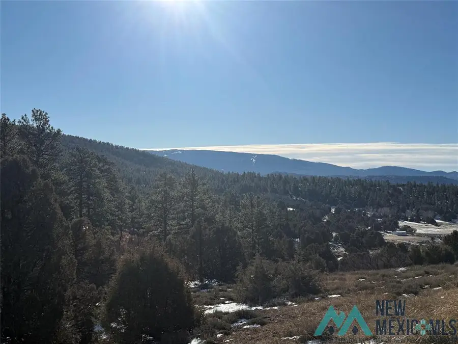 0 Unit 1 Tr-9b Ponderosa Drive, Chama, NM 87520 - Image #3
