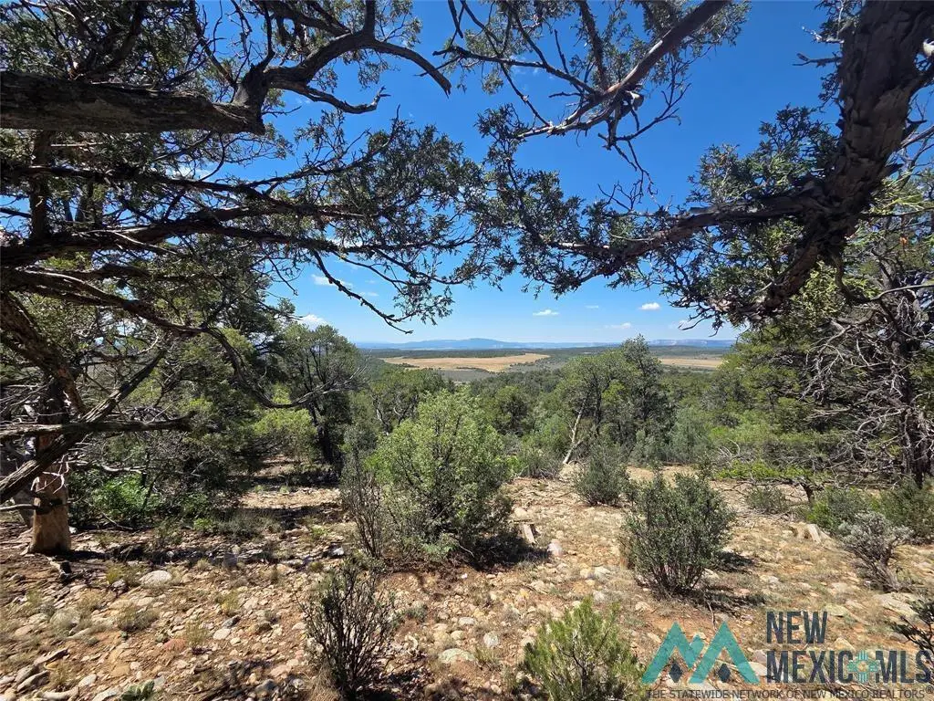 0 Lot 16, Unit 4 Road, Tierra Amarilla, NM 87575 - Image #1