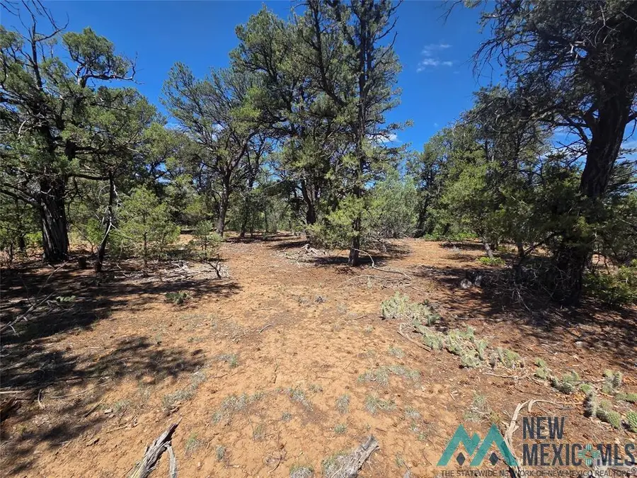 0 Lot 16, Unit 4 Road, Tierra Amarilla, NM 87575 - Image #2