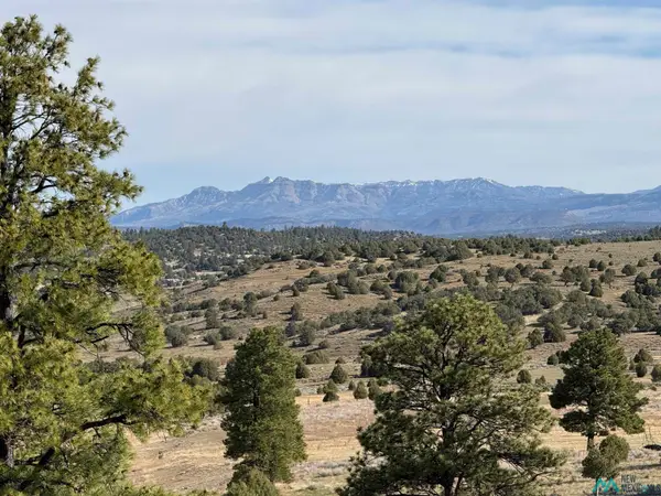 0 Garth Tract Road, Los Ojos, NM 87551