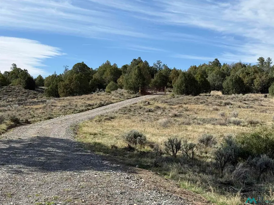 0 Garth Tract Road, Los Ojos, NM 87551 - Image #2