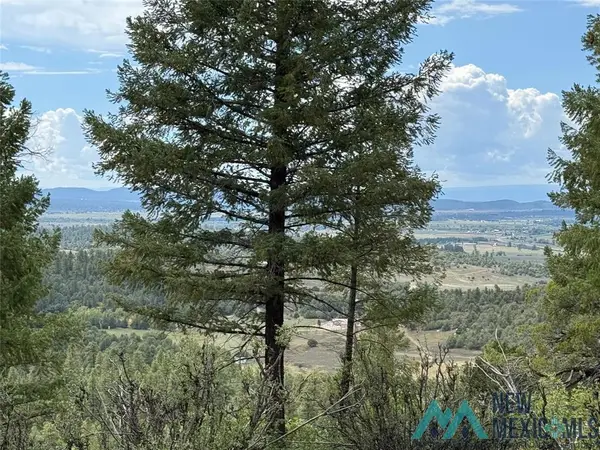 4 Unit 4 Lakeview Drive, Chama, NM 87520