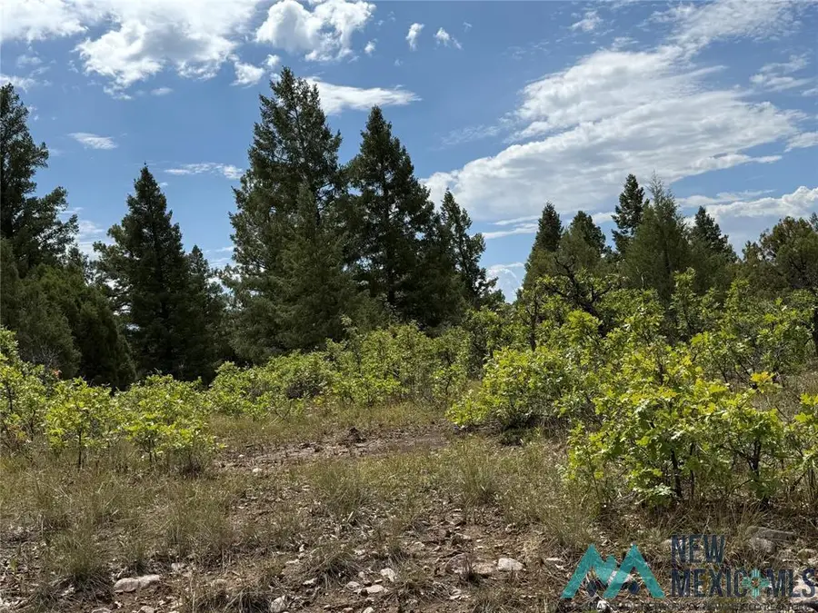 4 Unit 4 Lakeview Drive, Chama, NM 87520 - Image #2