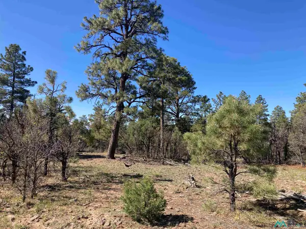 TBD Rim Lots 68 & 69 Drive, Rutheron, NM 87551