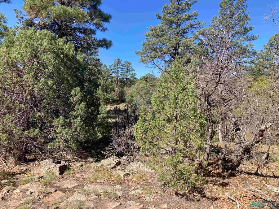 TBD Rim Lots 68 & 69 Drive, Rutheron, NM 87551 - Image #2