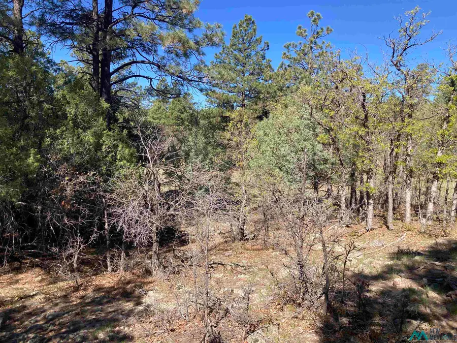 TBD Rim Lots 72 & 73 Drive, Rutheron, NM 87551 - Image #3