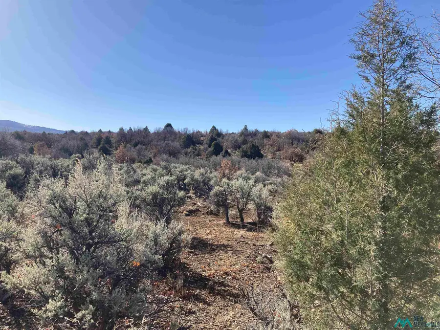 TBD Tierra Grande Lots 39 40 41 42, Ensendada, NM 87575 - #2
