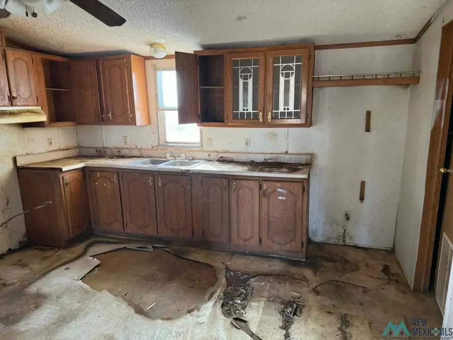 25 Acetuna Lane, Mesquite, NM 88048 - Image #3