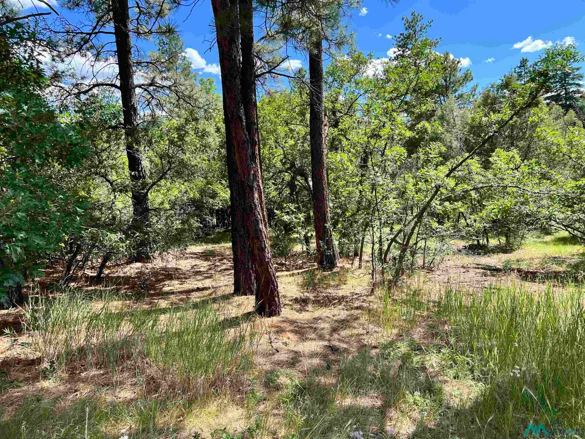 0 Lot 14, Brazos Estates Road, Chama, NM 87520 - Image #1