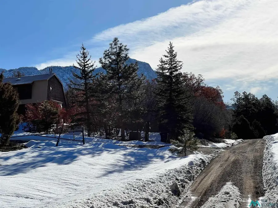 0 Lot 14, Brazos Estates Road, Chama, NM 87520 - Image #2