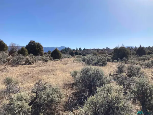 TBD Tierra Grande Lots 24 52 53, Ensendada, NM 87575