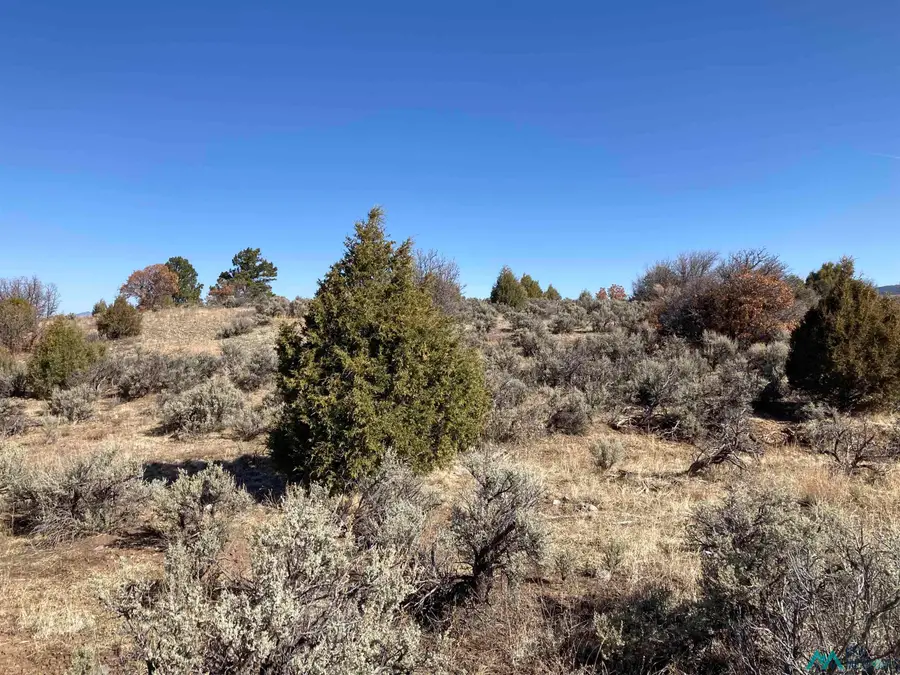 TBD Tierra Grande Lots 24 52 53, Ensendada, NM 87575 - #2