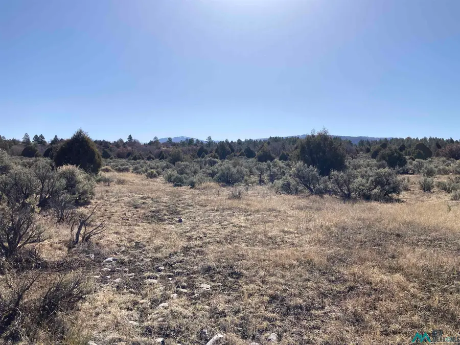 TBD Tierra Grande Lots 24 52 53, Ensendada, NM 87575 - #3