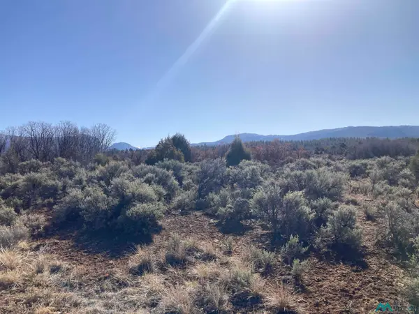 TBD Tierra Grande 16 43 44 45, Ensendada, NM 87575
