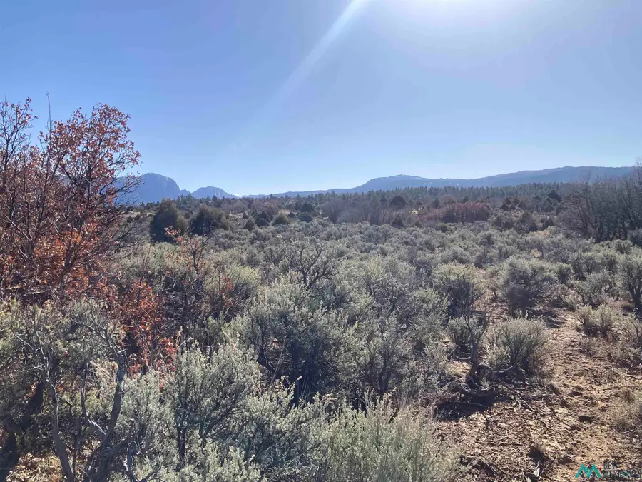 TBD Tierra Grande 16 43 44 45, Ensendada, NM 87575 - #3
