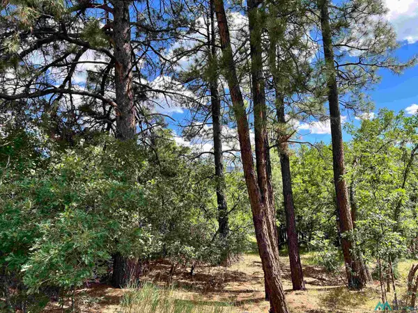 0 Block 2, Lot 15, Brazos Estates Road, Chama, NM 87520