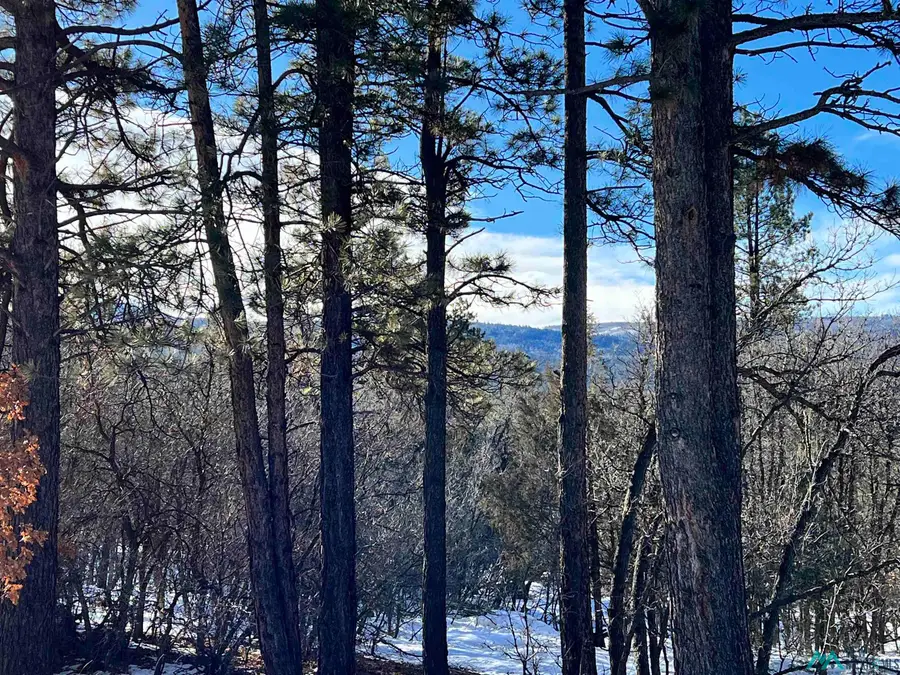 0 Block 2, Lot 15, Brazos Estates Road, Chama, NM 87520 - Image #2