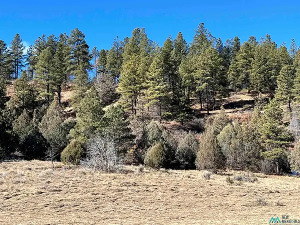 2.7 Cr 352 Road, Dulce, NM 87528