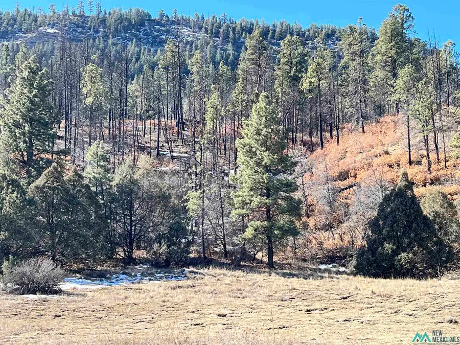 2.7 Cr 352 Road, Dulce, NM 87528 - Image #3