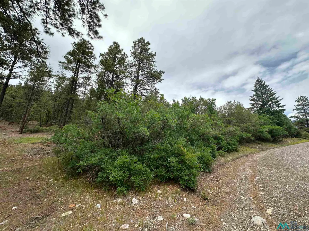 TBD Private Drive 1754 Drive, Chama, NM 87520 - Image #1