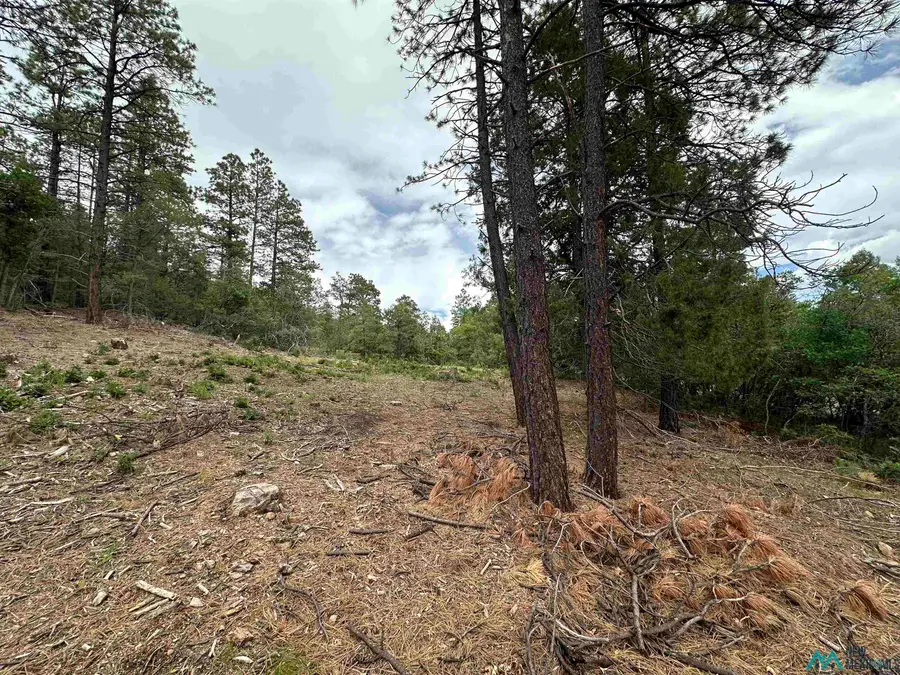 TBD Private Drive 1754 Drive, Chama, NM 87520 - Image #2