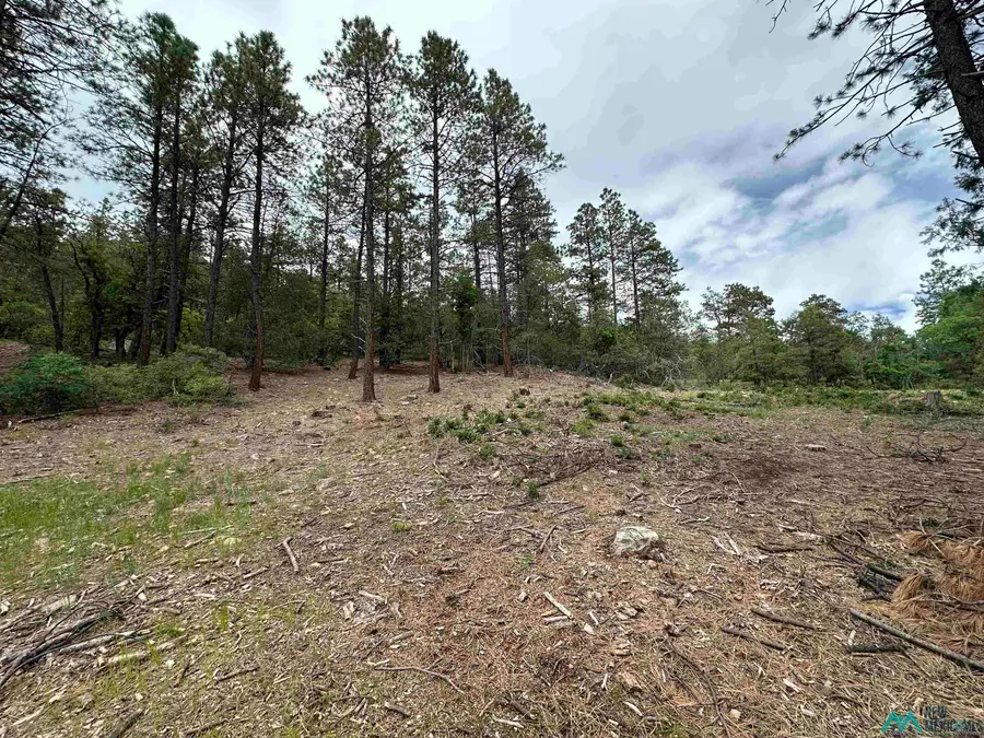 TBD Private Drive 1754 Drive, Chama, NM 87520 - Image #3