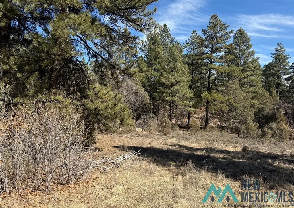 TBD Us Hwy 84, Tierra Amarilla, NM 87575 - Image #1