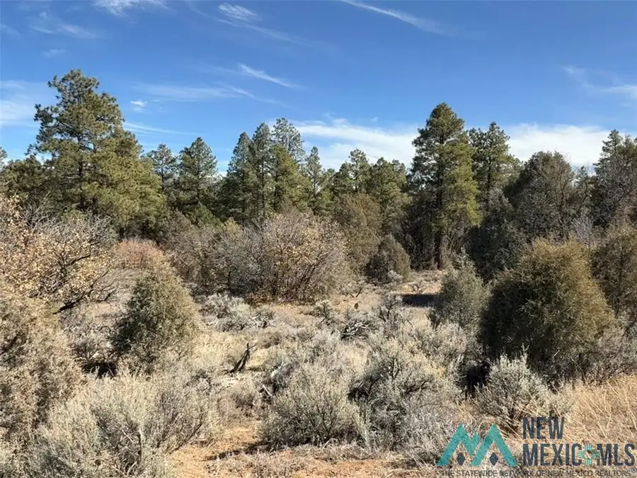 TBD Us Hwy 84, Tierra Amarilla, NM 87575 - Image #3