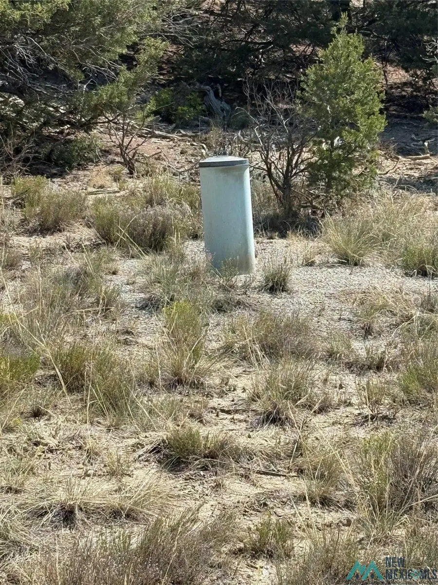 TBD Martingale Lane, Tierra Amarilla, NM 87551 - Image #3