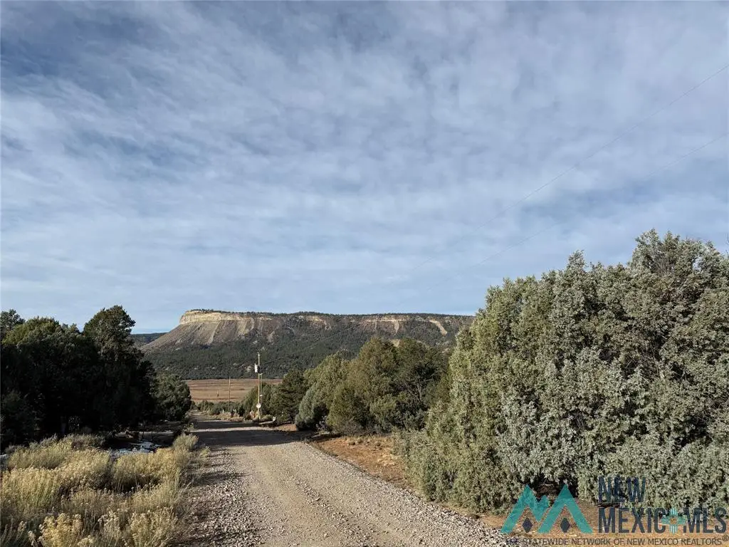 TBD Christy Lane, Rutheron, NM 87551 - Image #1