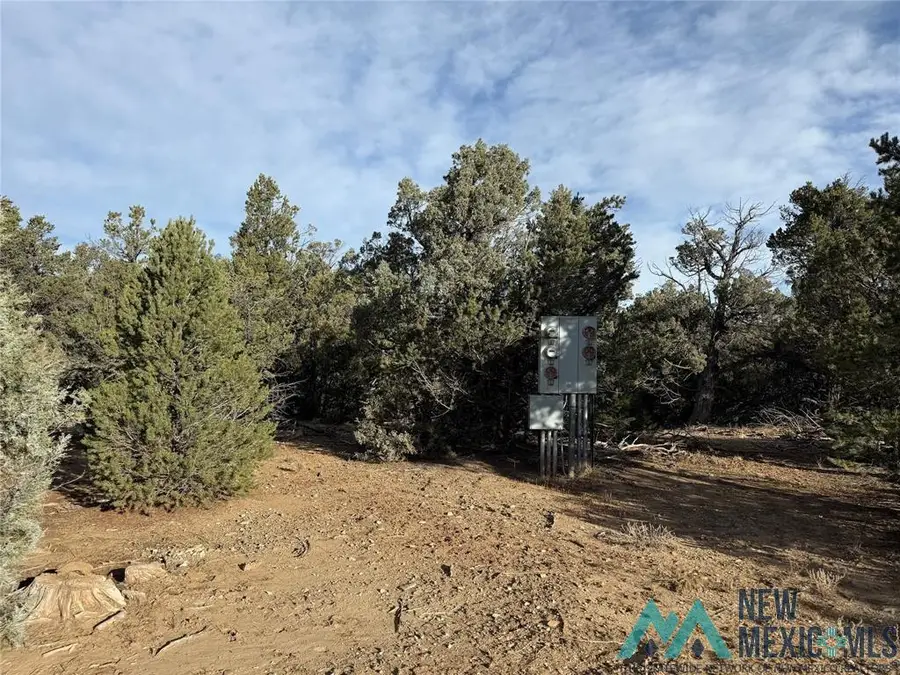 TBD Christy Lane, Rutheron, NM 87551 - Image #2