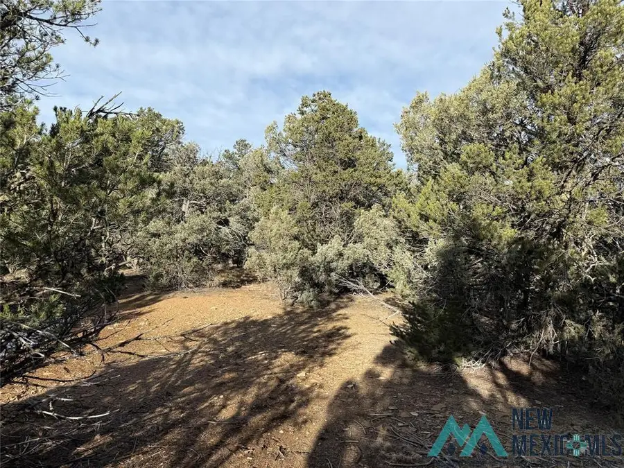 TBD Christy Lane, Rutheron, NM 87551 - Image #3