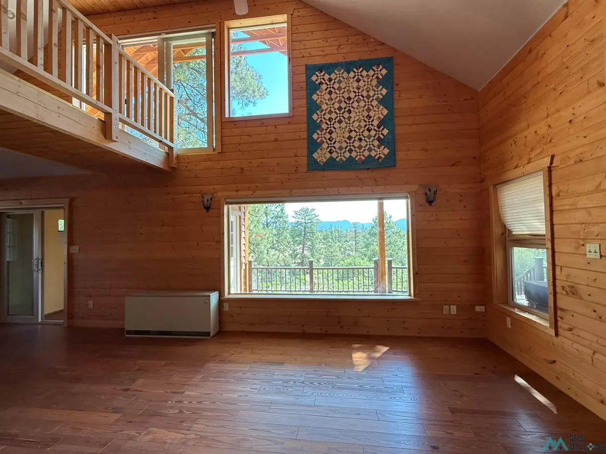 37 Rim Drive, Los Ojos, NM 87551 - Image #1