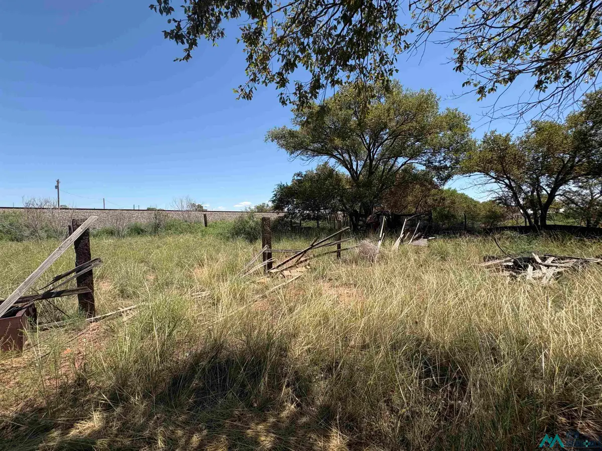Lot E 1/2 1 E Avenue C Avenue, Fort Sumner, NM 88119 - Image #1