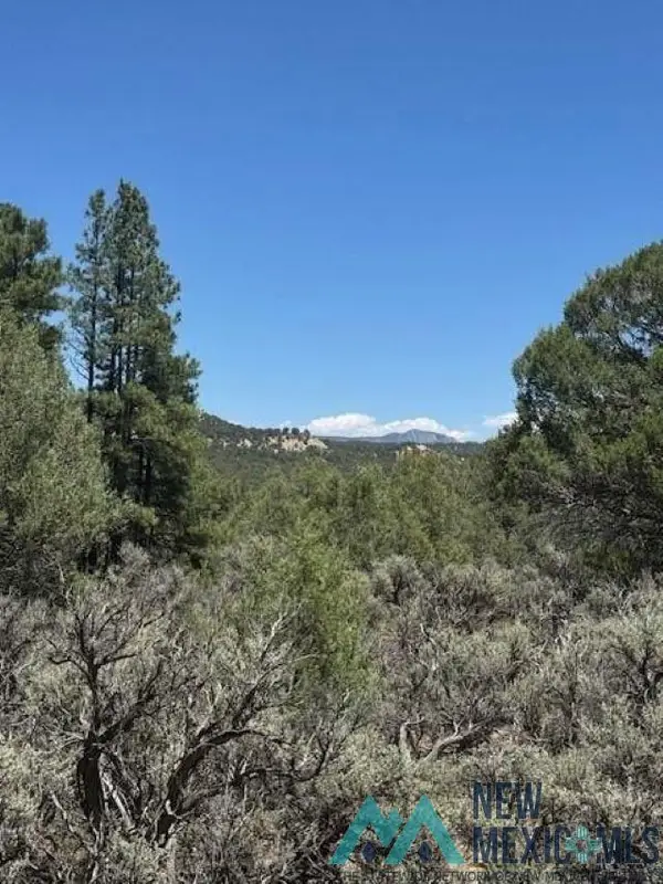 Lot 7 Unit 5, Tierra Amarilla, NM 87575
