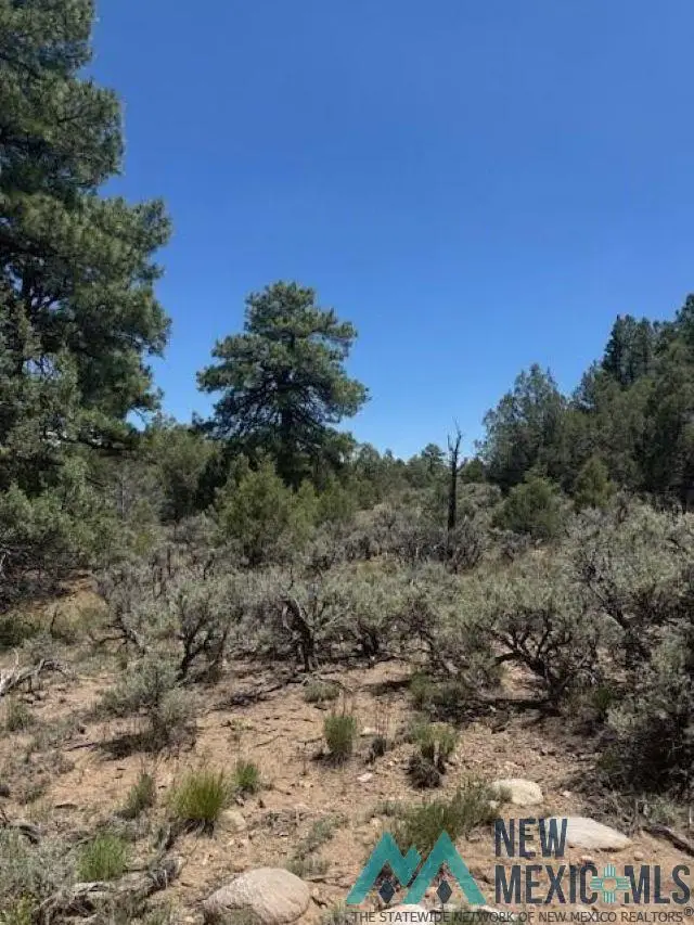 Lot 7 Unit 5, Tierra Amarilla, NM 87575 - Image #2