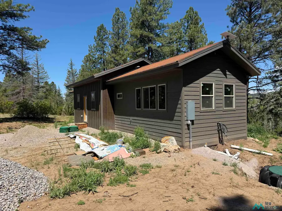 160 Indian Paint Brush Road, Chama, NM 87520 - Image #3