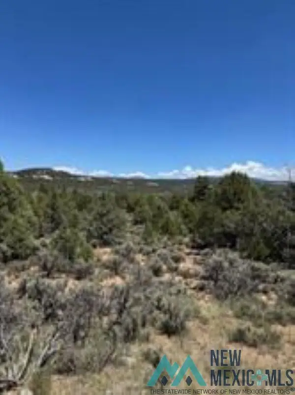 Lot 1 Unit 5 Talavara, Tierra Amarilla, NM 87575