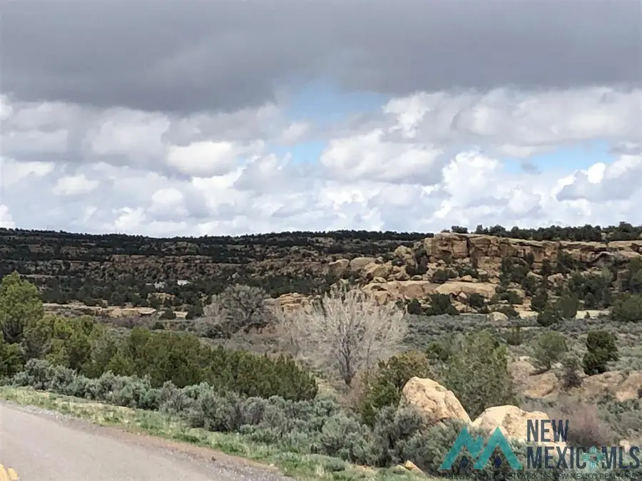 TBD Hwy 539/64 Highway, Blanco, NM 87412 - Image #2