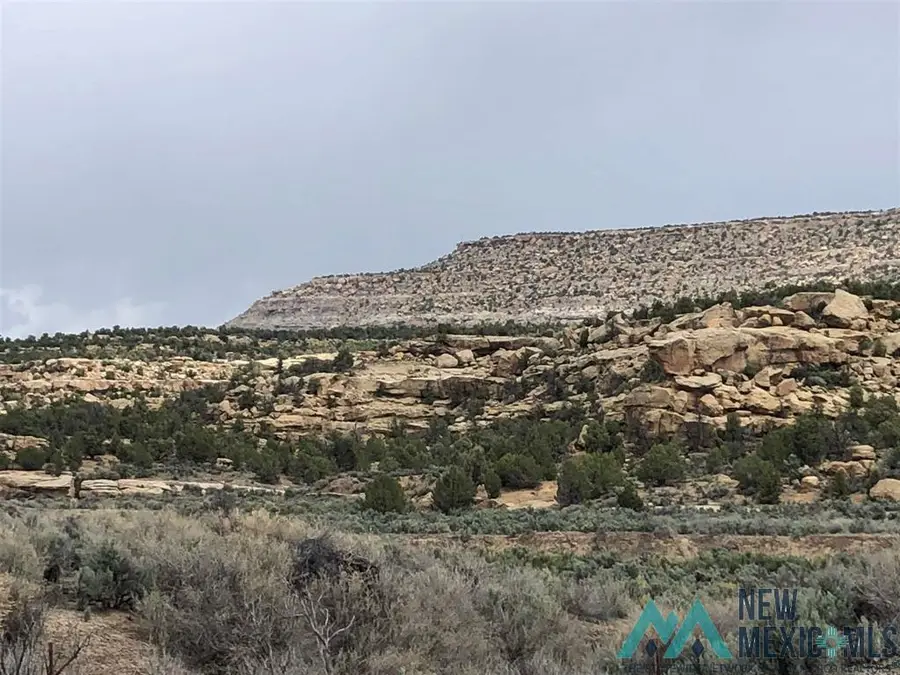 TBD Hwy 539/64 Highway, Blanco, NM 87412 - Image #3