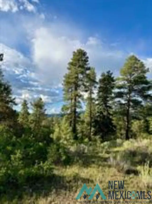 Owls 2A Blue Spruce Trail, Chama, NM 87520 - Image #2