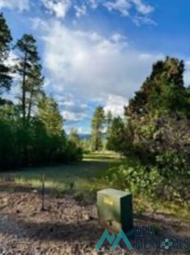 Owls 2A Blue Spruce Trail, Chama, NM 87520 - Image #3