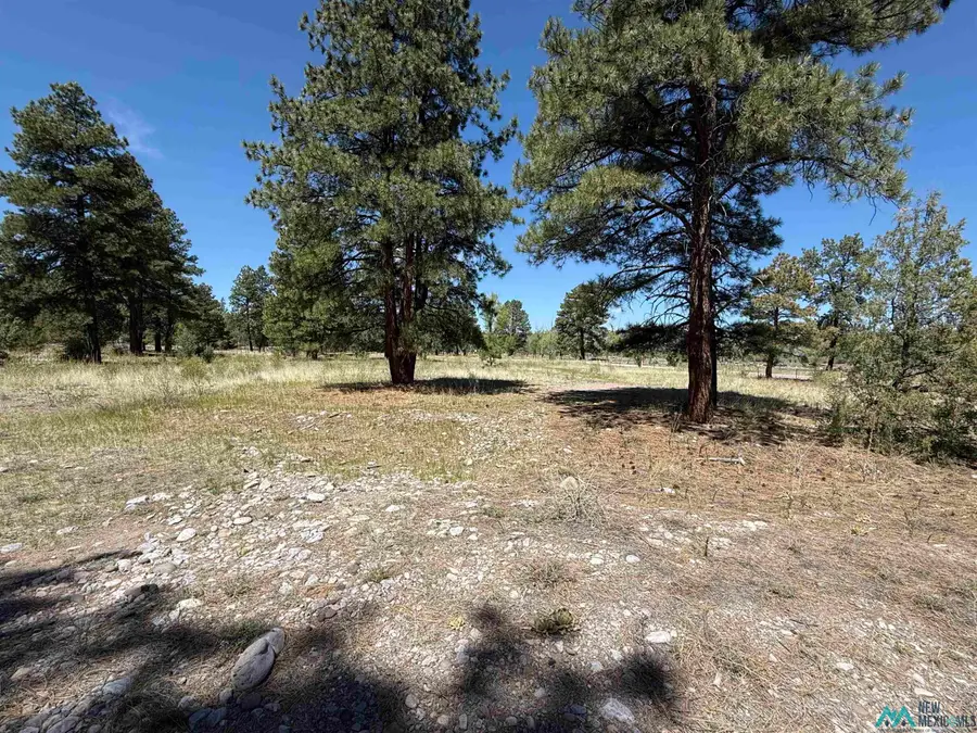 TBD State Road 512 Road, Chama, NM 87520 - Image #3