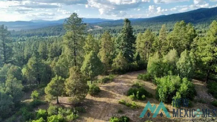 Owl 1 Blue Spruce, Chama, NM 87520 - Image #1