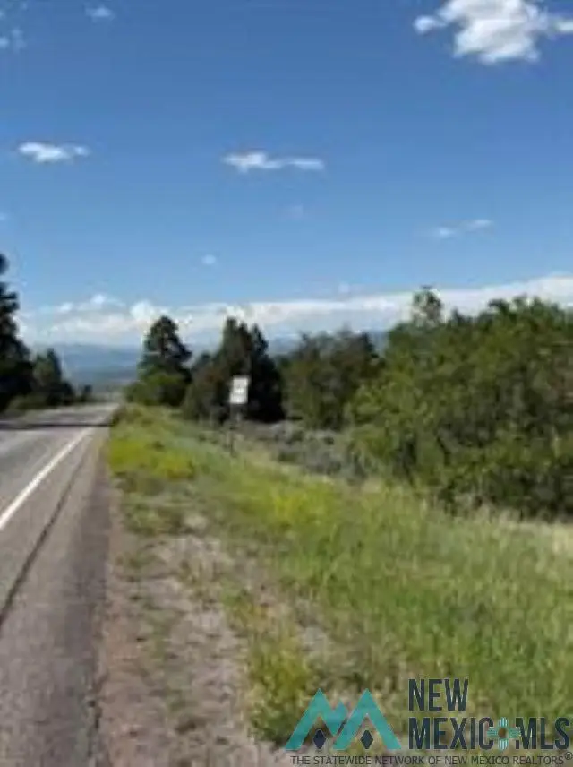 TBD Hwy 64 / 84, Tierra Amarilla, NM 87575 - Image #1