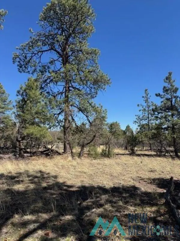 TBD Doe Run, Los Ojos, NM 87551