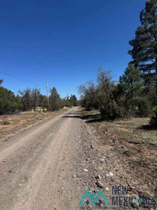 TBD Doe Run, Los Ojos, NM 87551 - Image #2